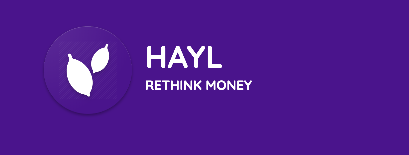 Hayl - Your personal financial assistant